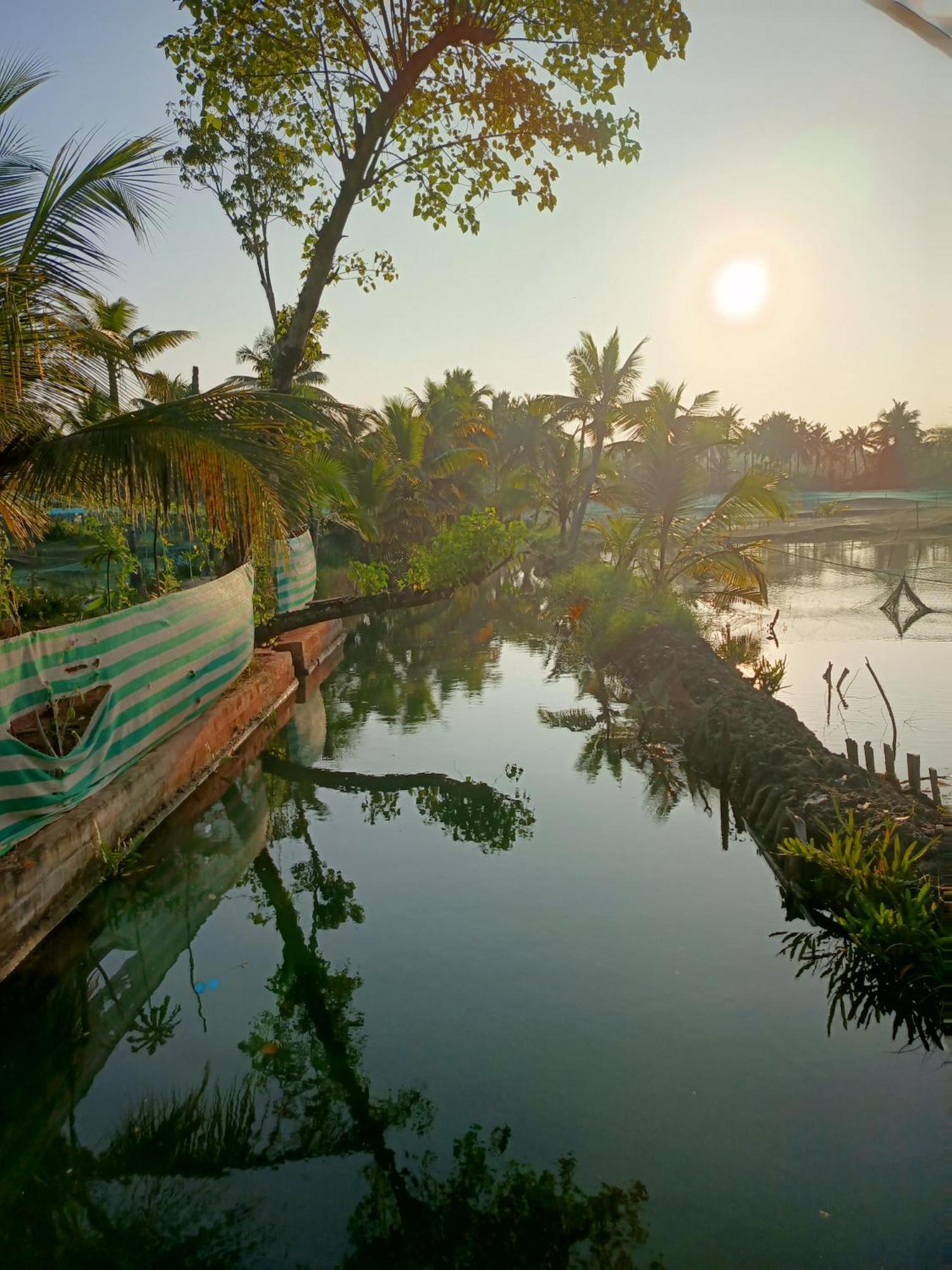 Bliss Homestay Munroe Island Mundrothuruth Esterno foto
