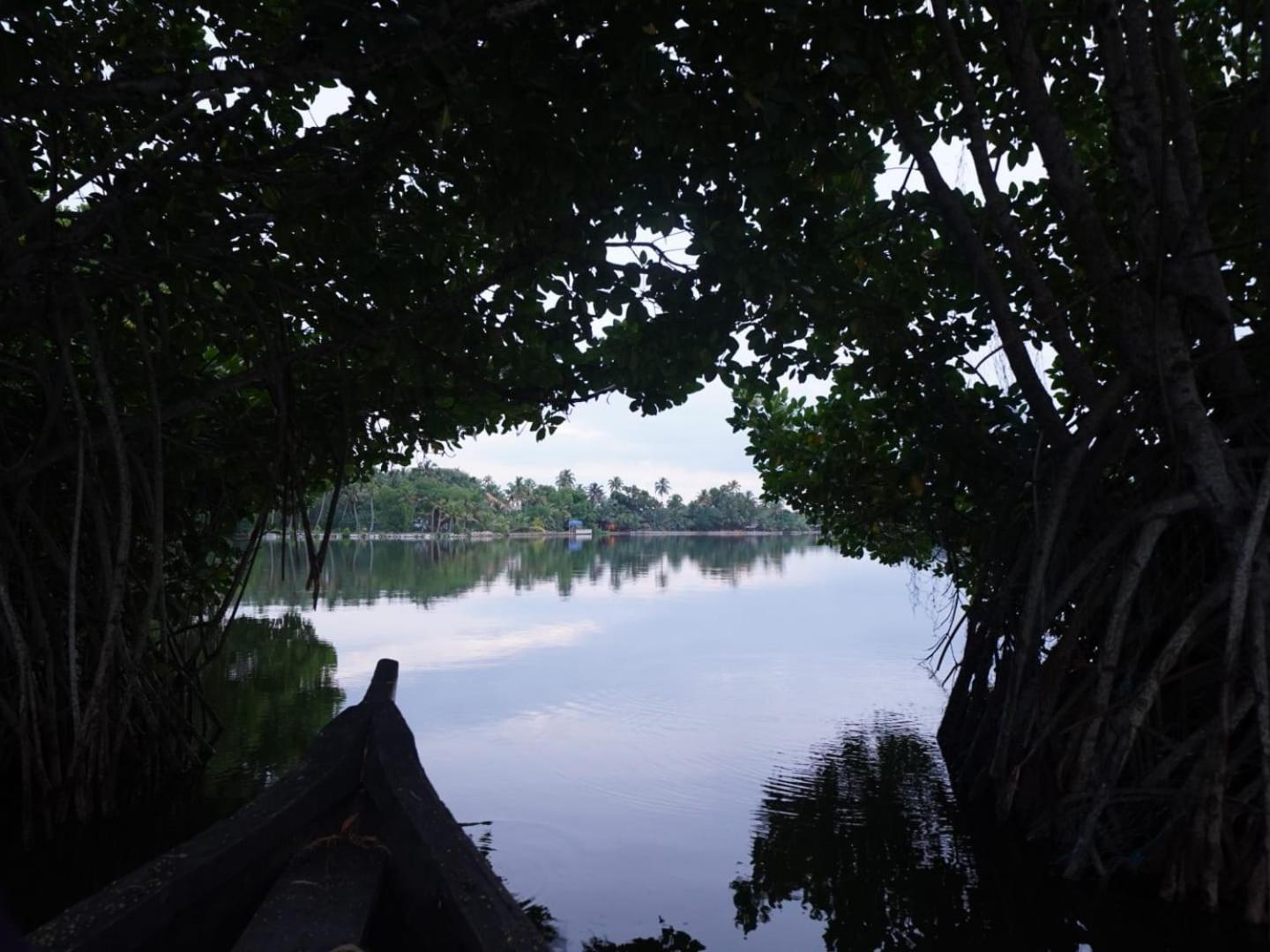 Bliss Homestay Munroe Island Mundrothuruth Esterno foto
