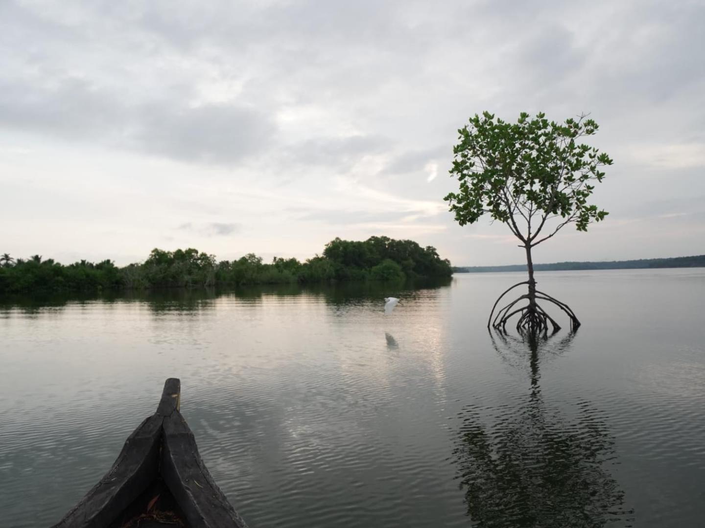 Bliss Homestay Munroe Island Mundrothuruth Esterno foto