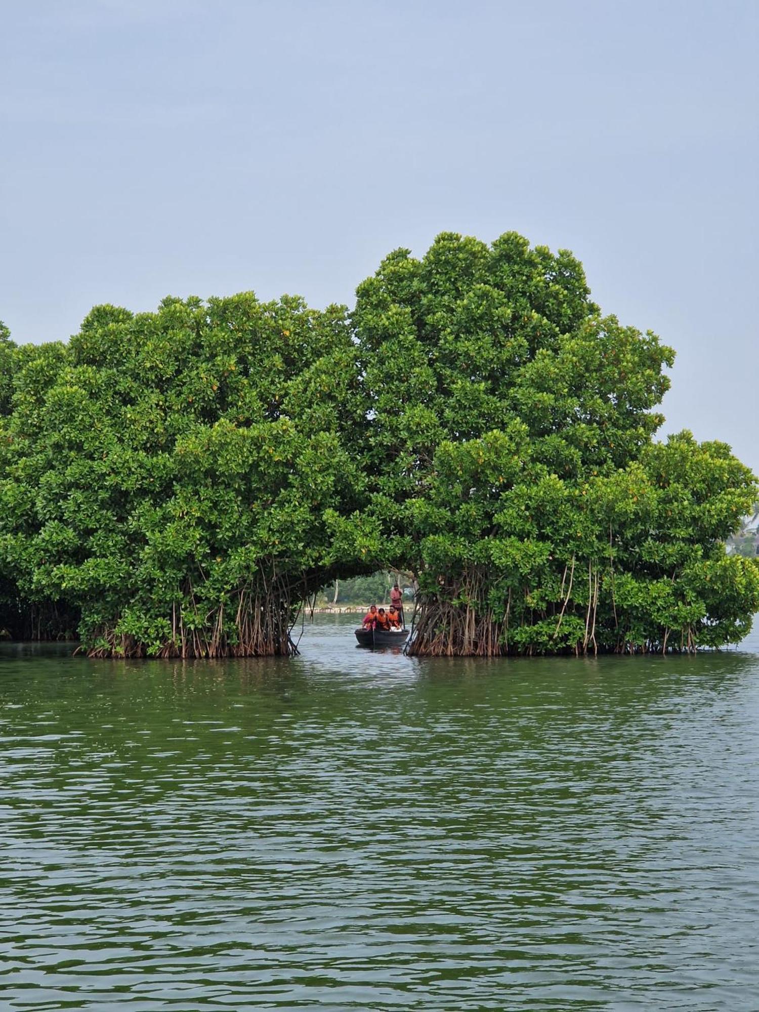 Bliss Homestay Munroe Island Mundrothuruth Esterno foto