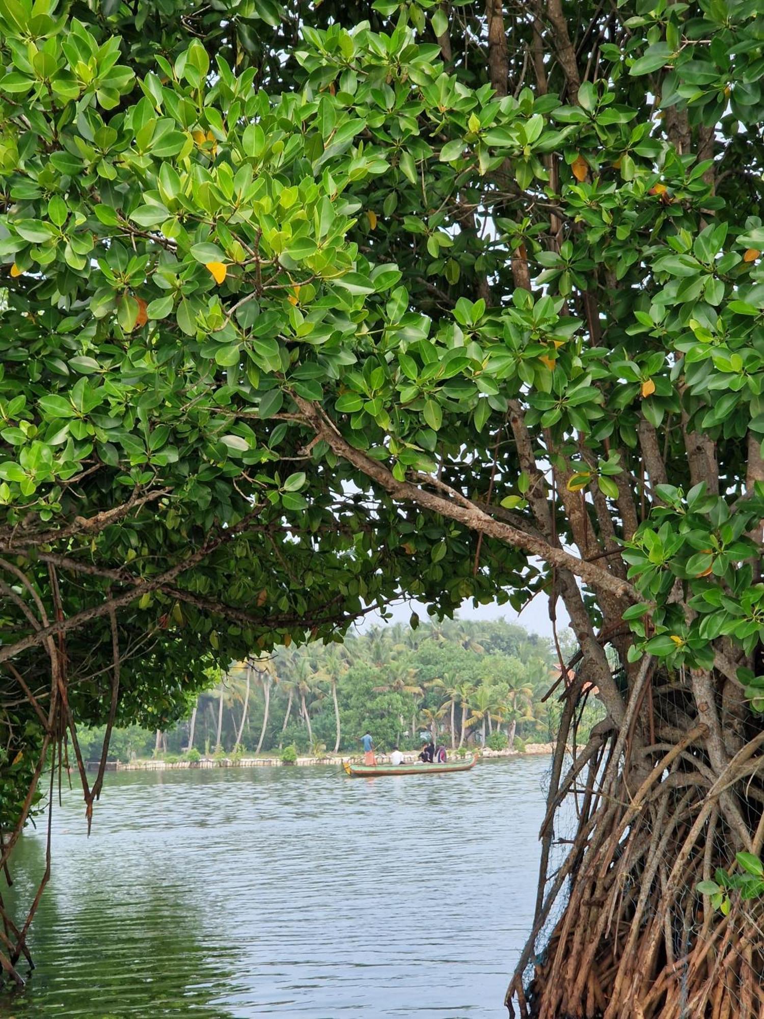 Bliss Homestay Munroe Island Mundrothuruth Esterno foto