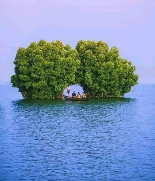 Bliss Homestay Munroe Island Mundrothuruth Esterno foto